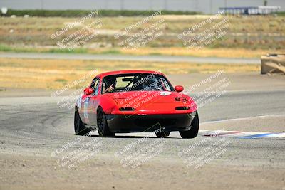 media/Jul-27-2024-Speed Ventures (Sat) [[14cea0cda4]]/Purple/Cotton Corners 1250pm/